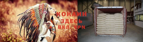 индика Балабаново