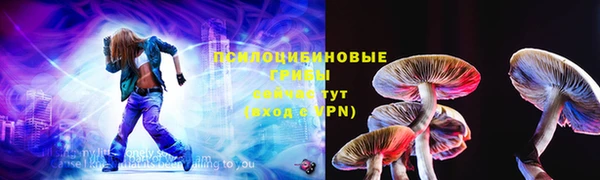 индика Балабаново