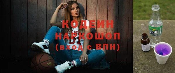 индика Балабаново