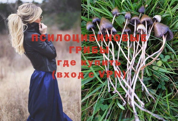 индика Балабаново