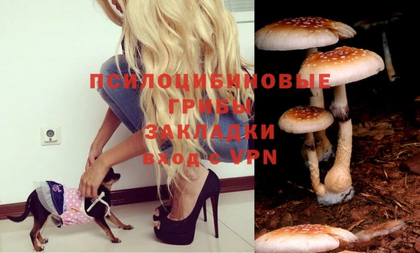 индика Балабаново
