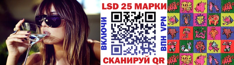 KRAKEN   наркота  Светлогорск  Наркотические марки 1500мкг 